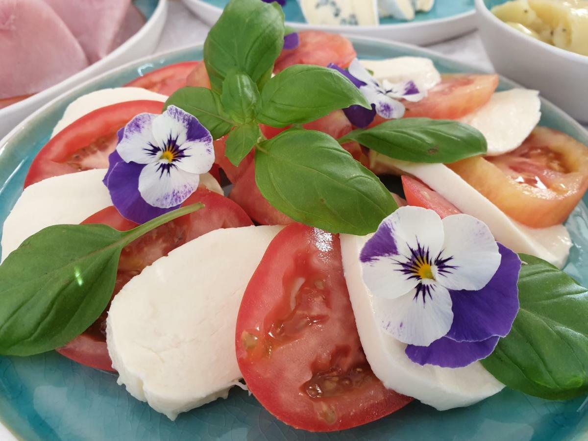 Bed And Breakfast Mittelkaernten 알트호펜 외부 사진
