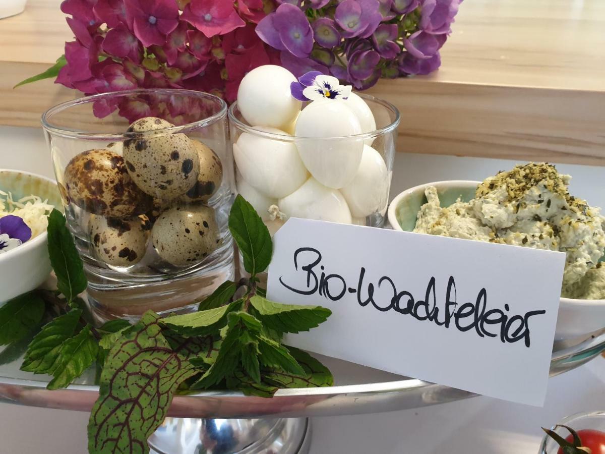 Bed And Breakfast Mittelkaernten 알트호펜 외부 사진